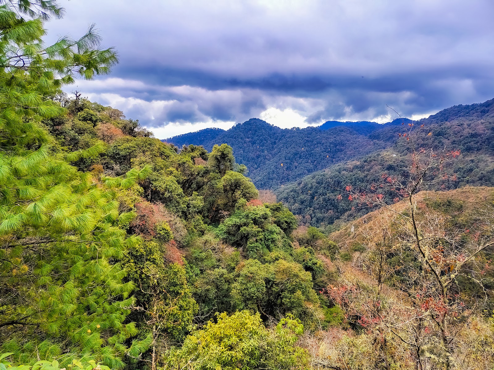 Eaglenest Wildlife Sanctuary photo 3