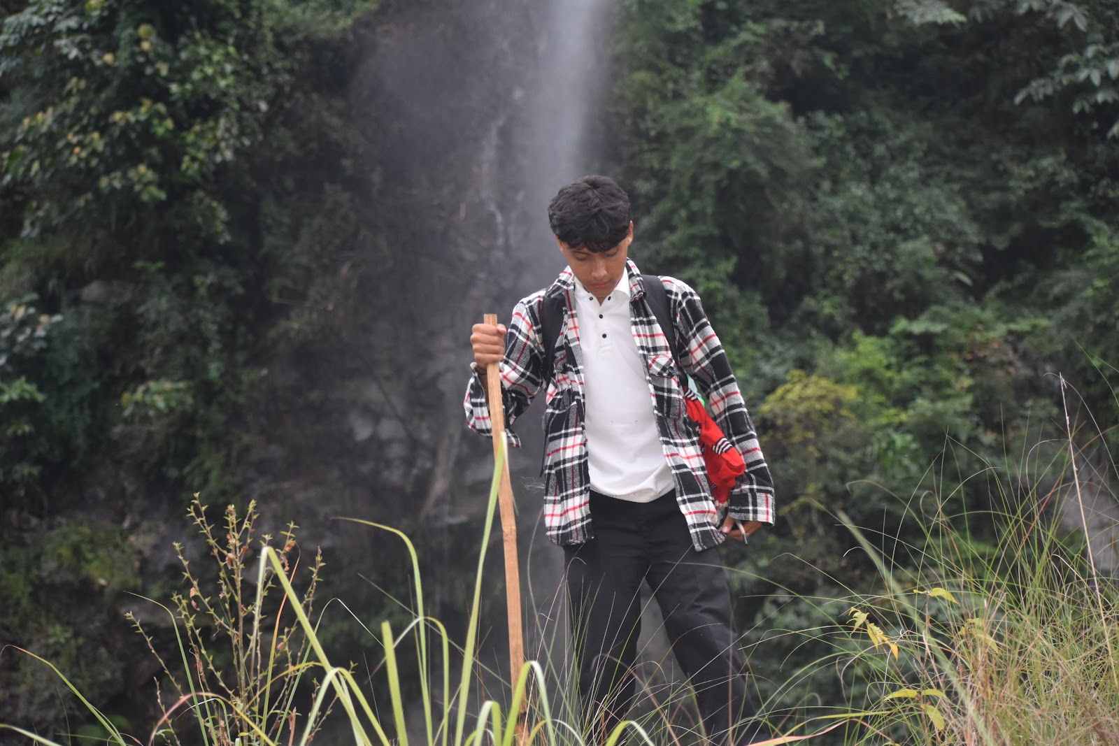 Mehao Wildlife Sanctuary photo 3