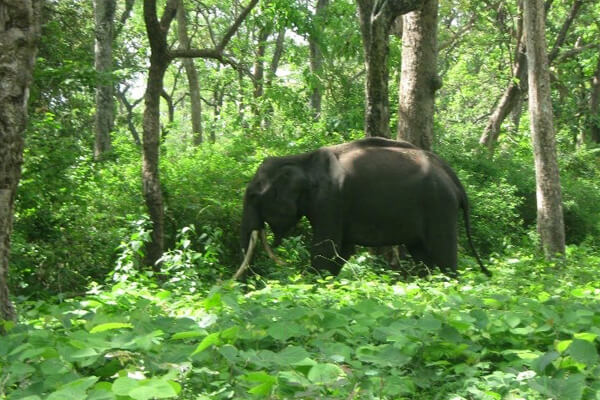 Mouling National Park photo 3