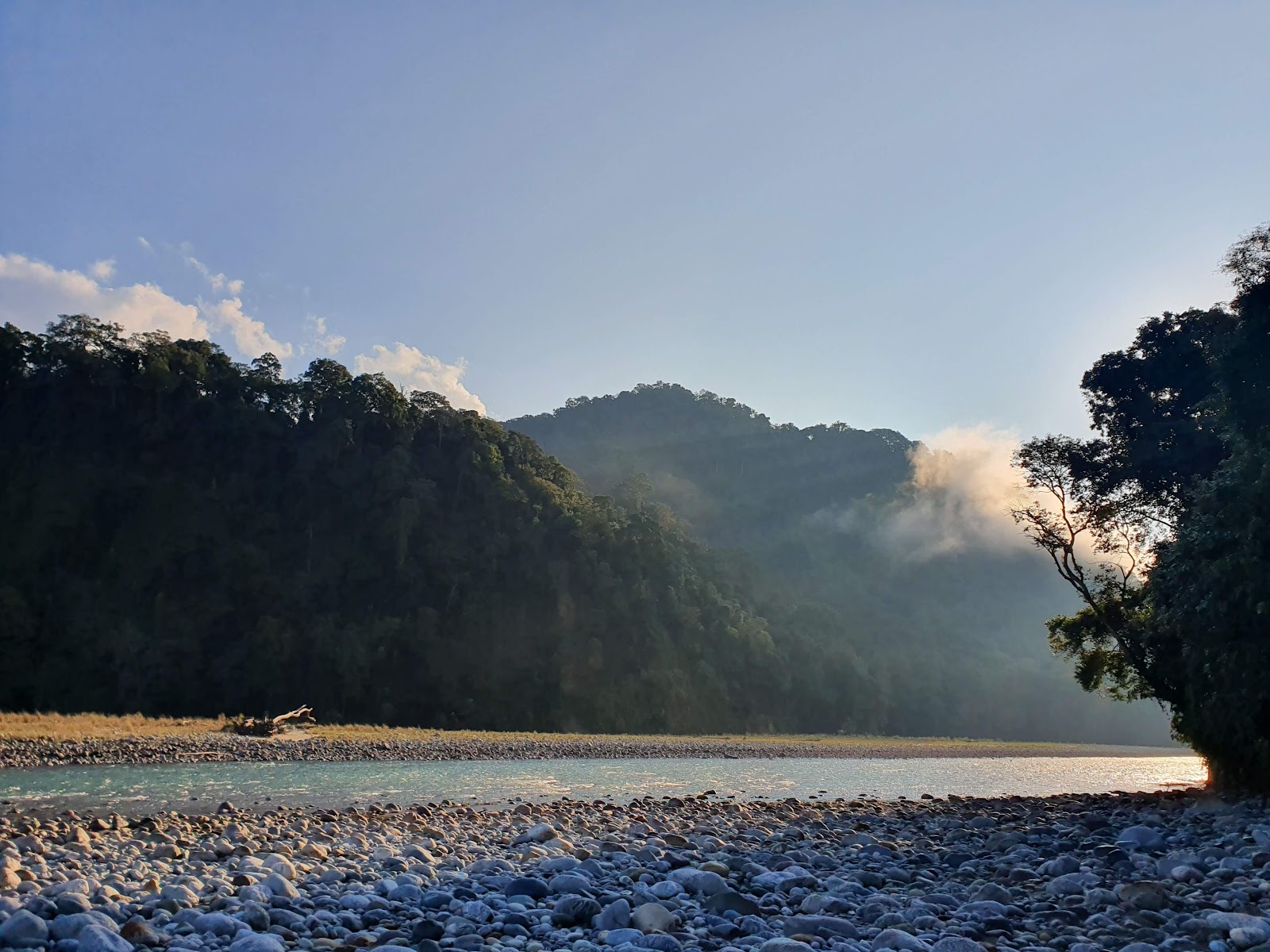 Namdapha National Park & Tiger Reserve photo 3