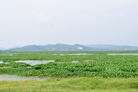 Deepor Beel photo 2