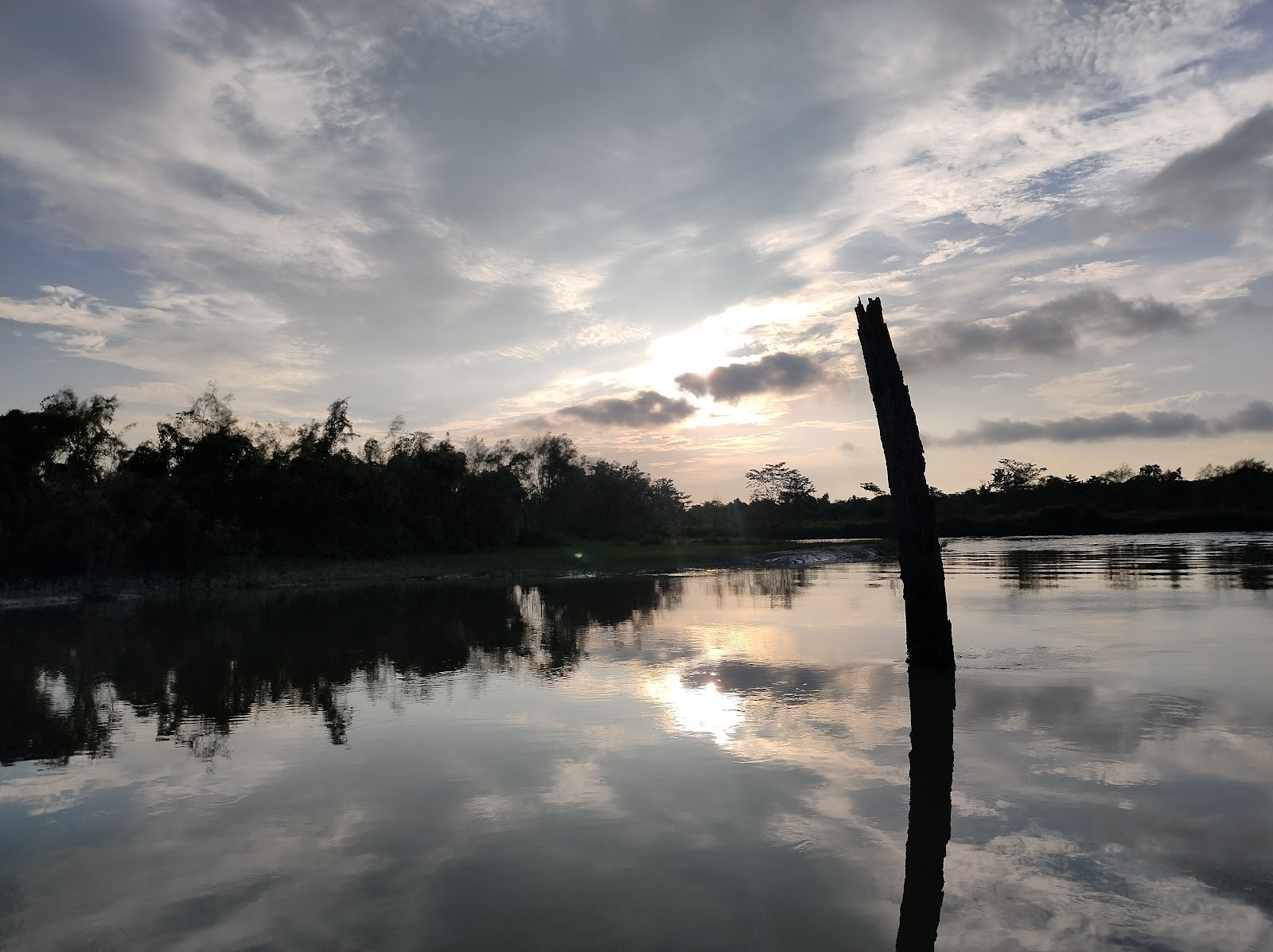 Dibru Saikhowa National Park photo 3