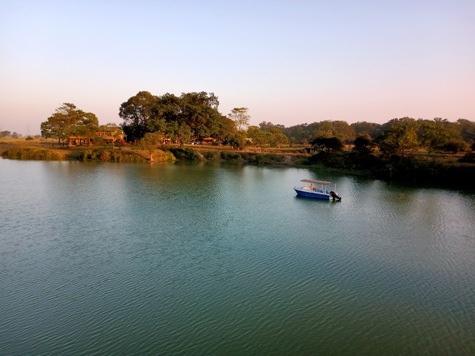 Pobitora Wildlife Sanctuary photo 2