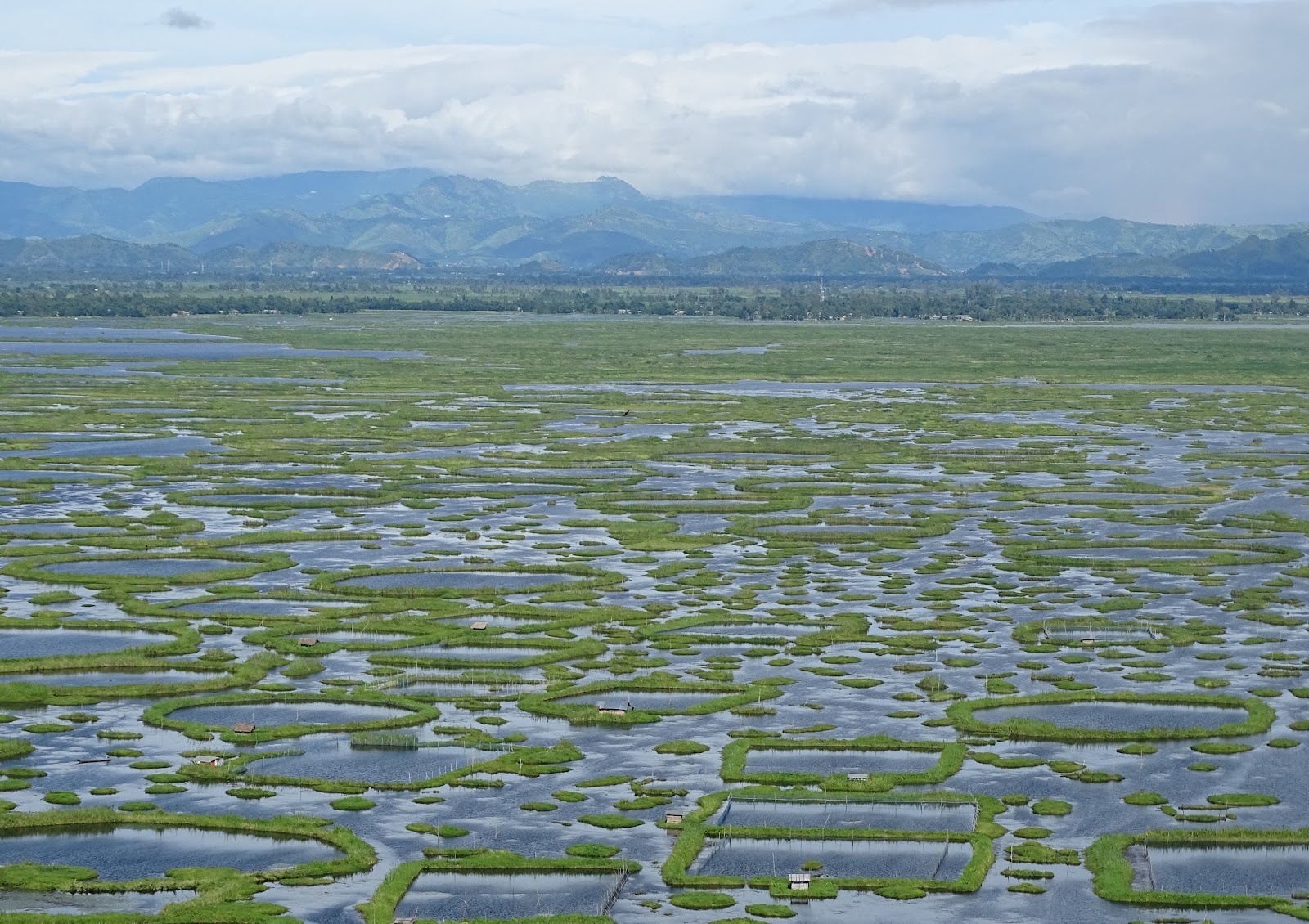 Loktak Lake photo 2