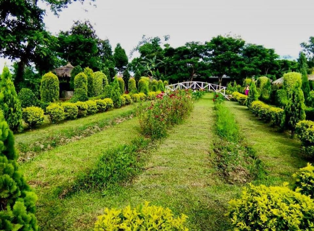 Matai Garden