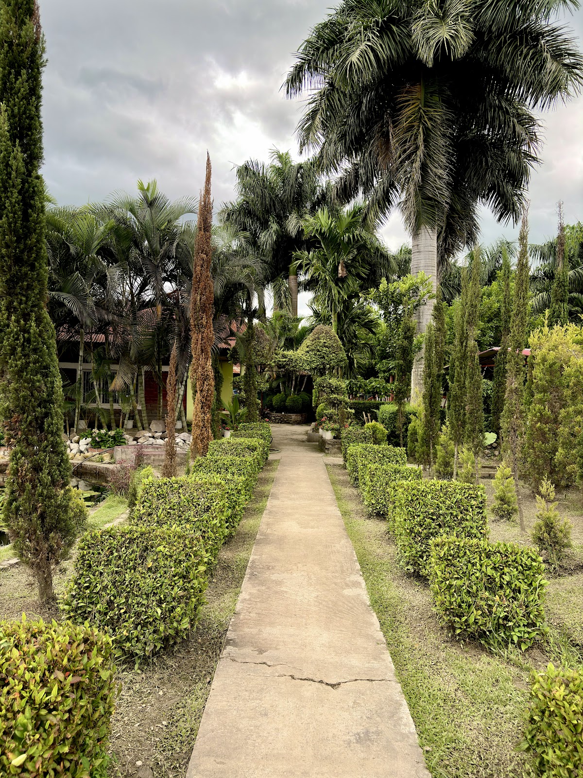 Matai Garden photo 2