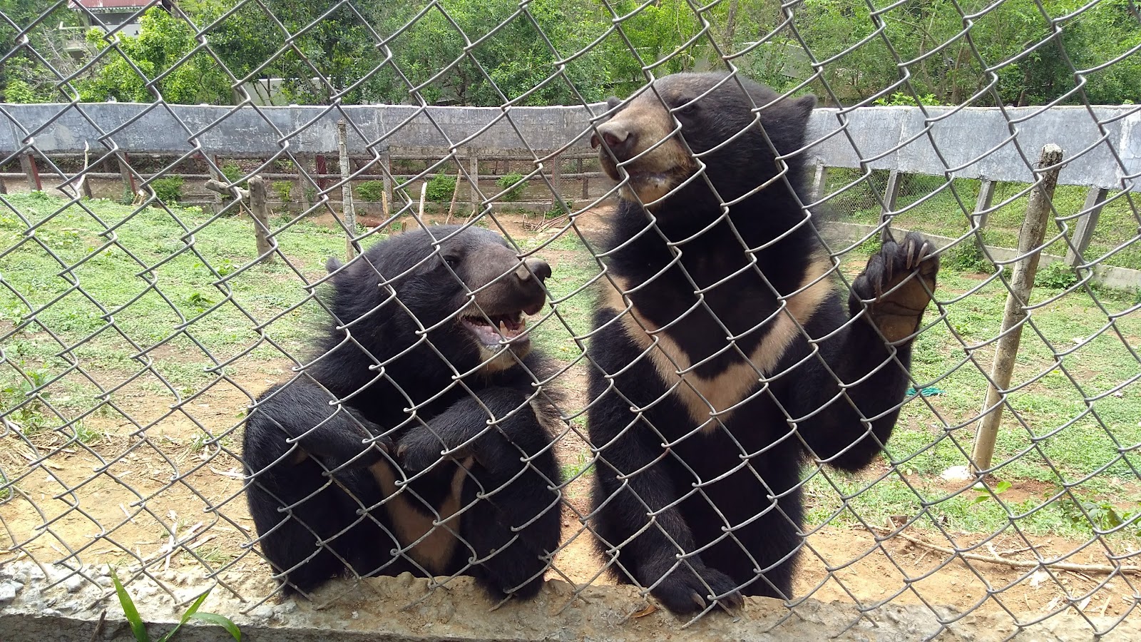Aizawl Zoological Park