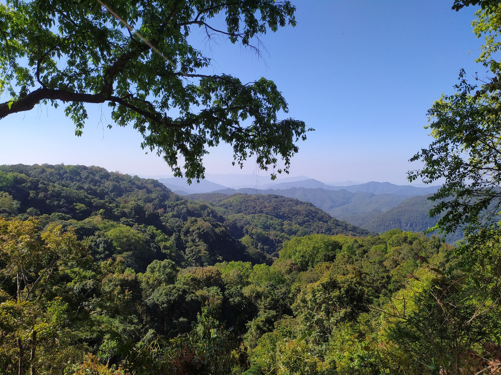 Murlen National Park photo 2