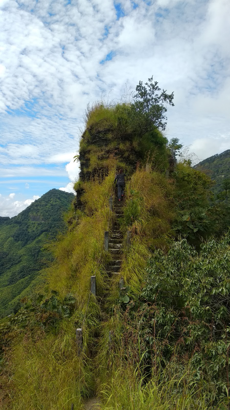 Thasiama Seno-neihna photo 2