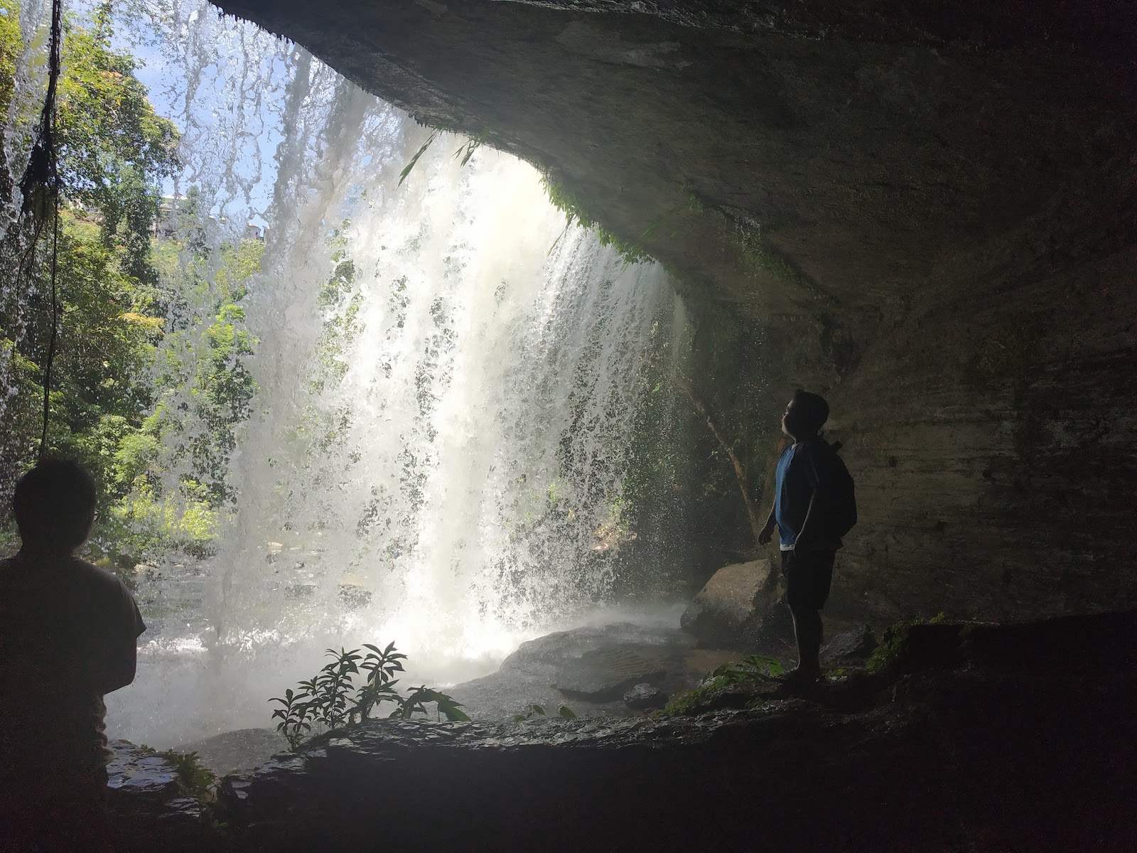 Tuirihiau Falls photo 3