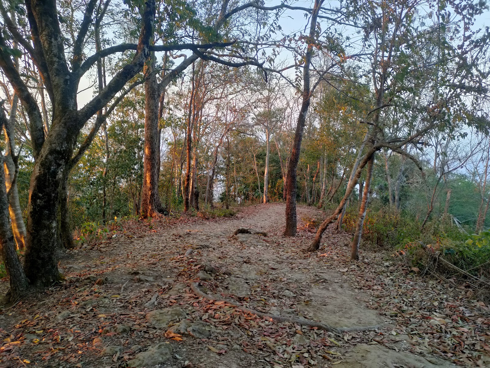 Zawlpala leh Tualvungi Thlan Tlâng photo 3