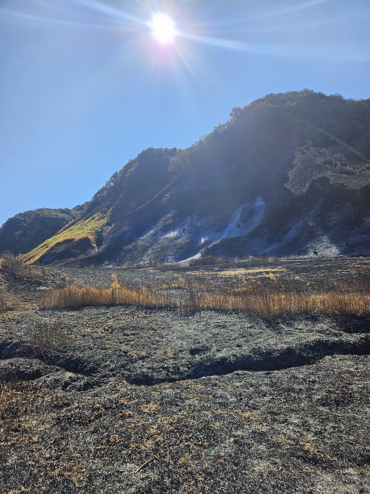 Khonoma Nature Conservation and Tragopan Sanctuary photo 2