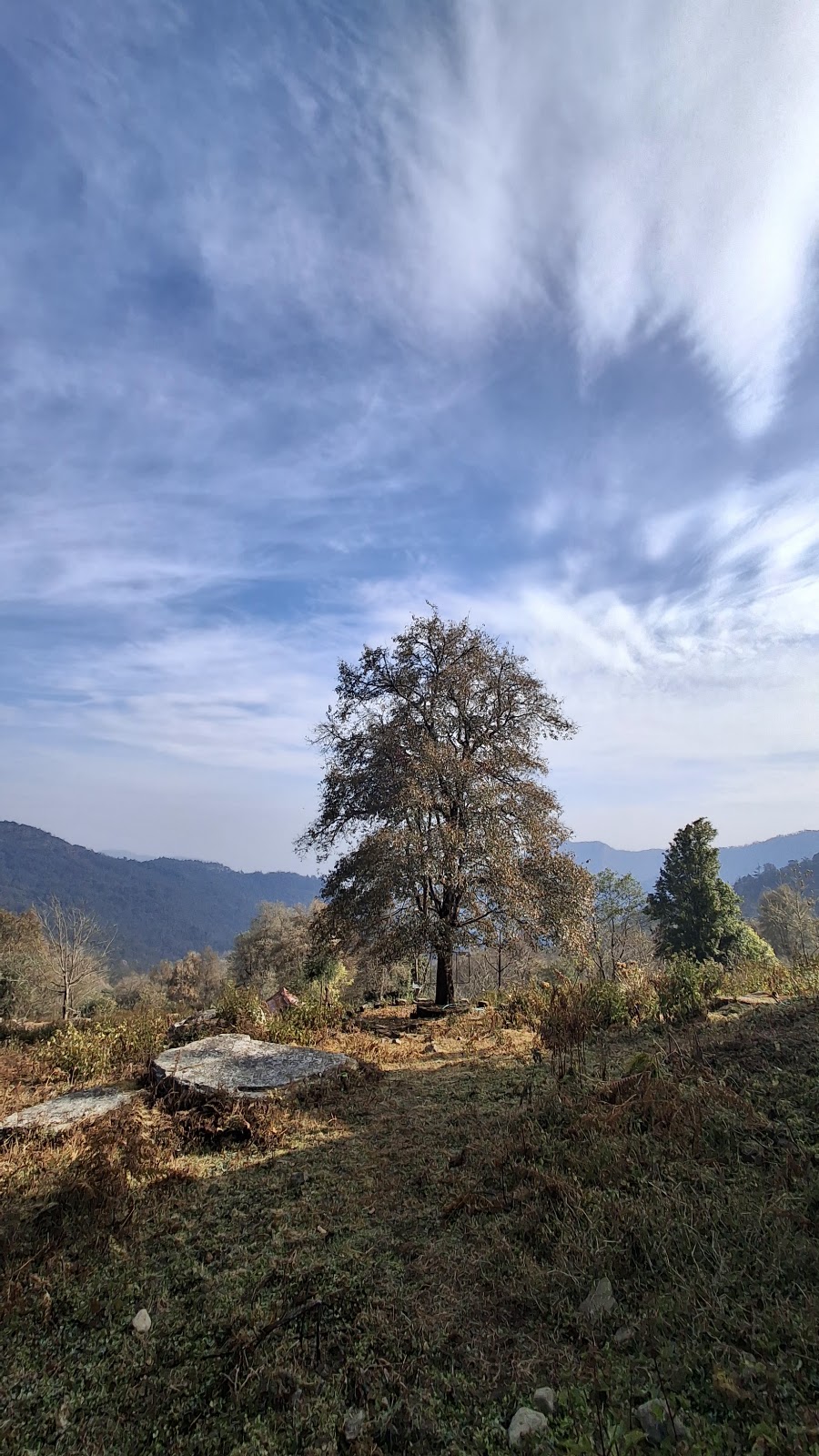 Khonoma Nature Conservation and Tragopan Sanctuary photo 3