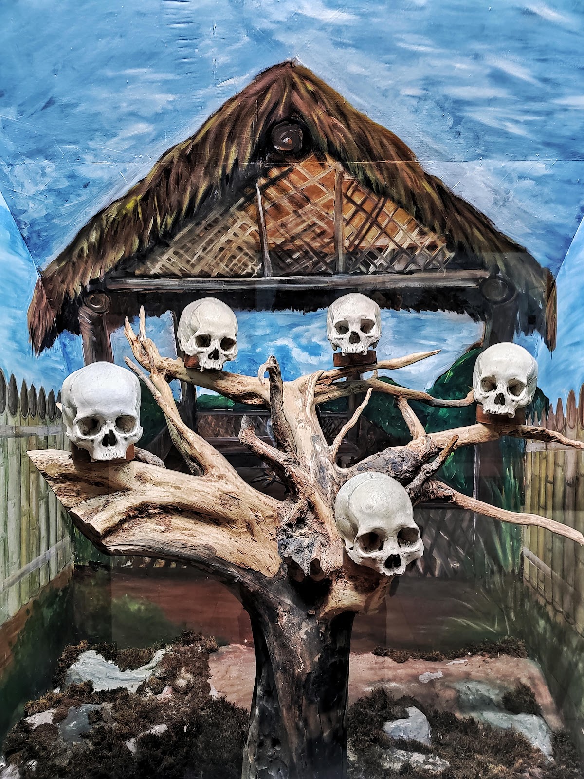 Nagaland State Museum photo 3