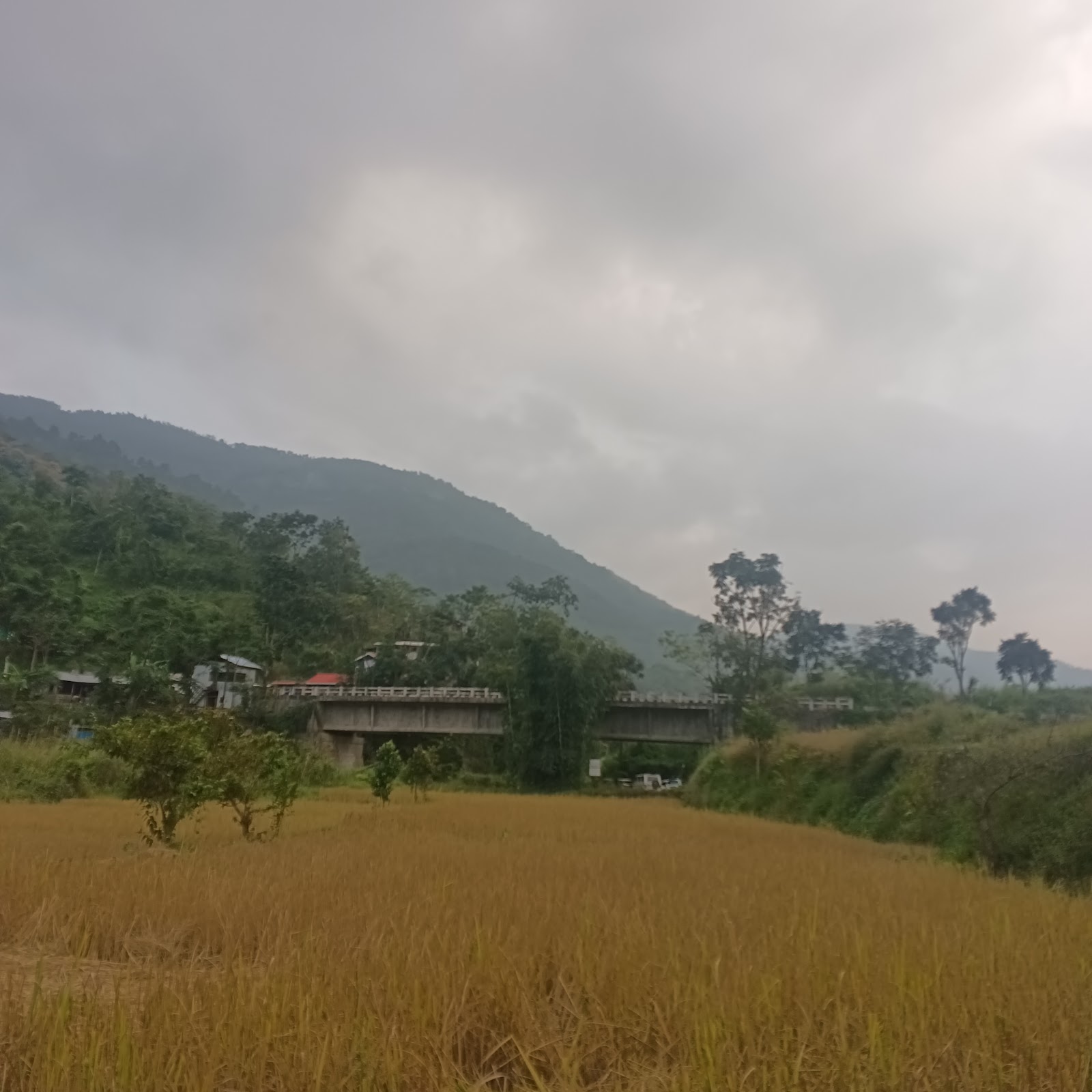 Seidzü river photo 3