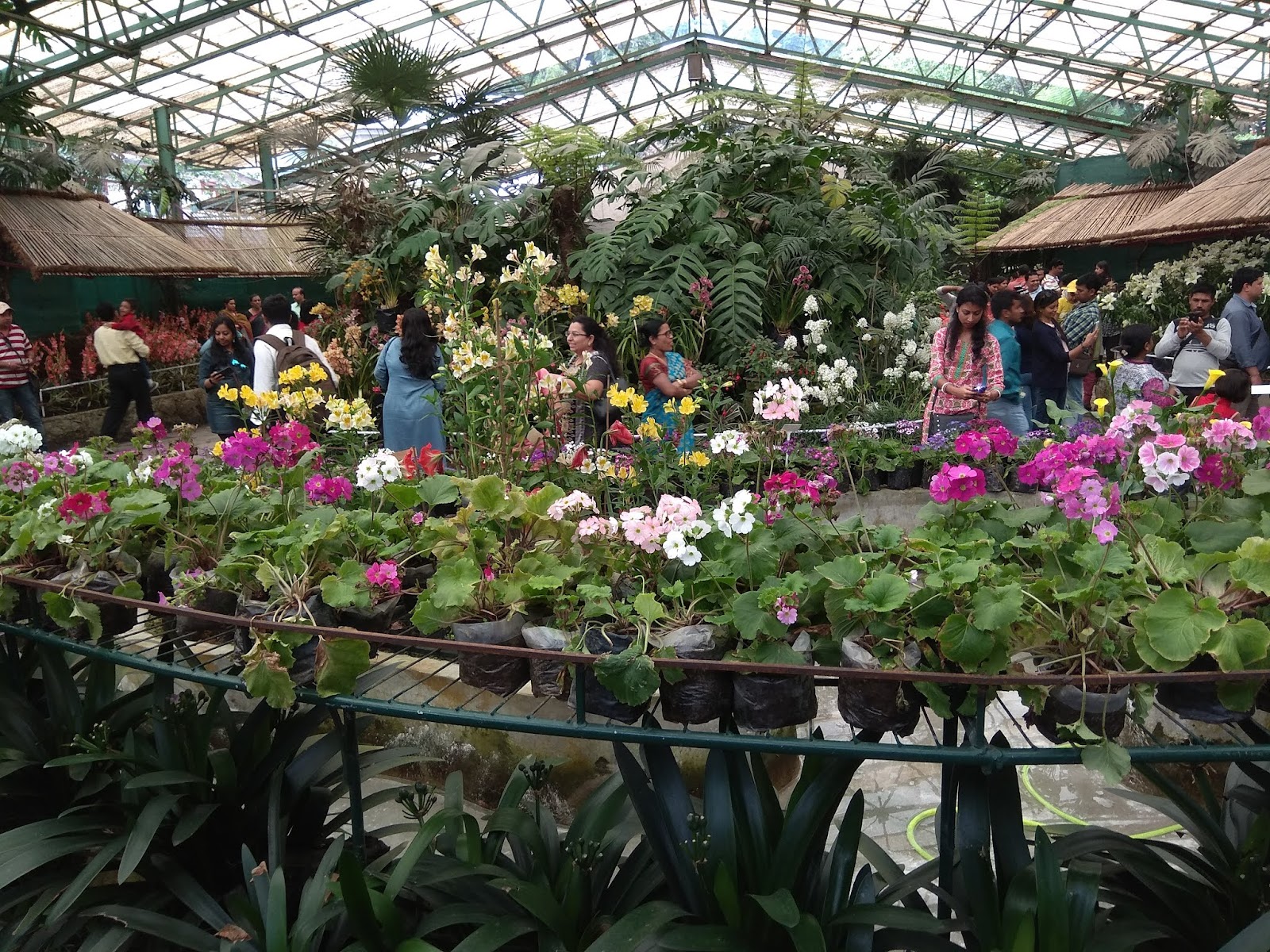 Jawaharlal Nehru Botanical Garden