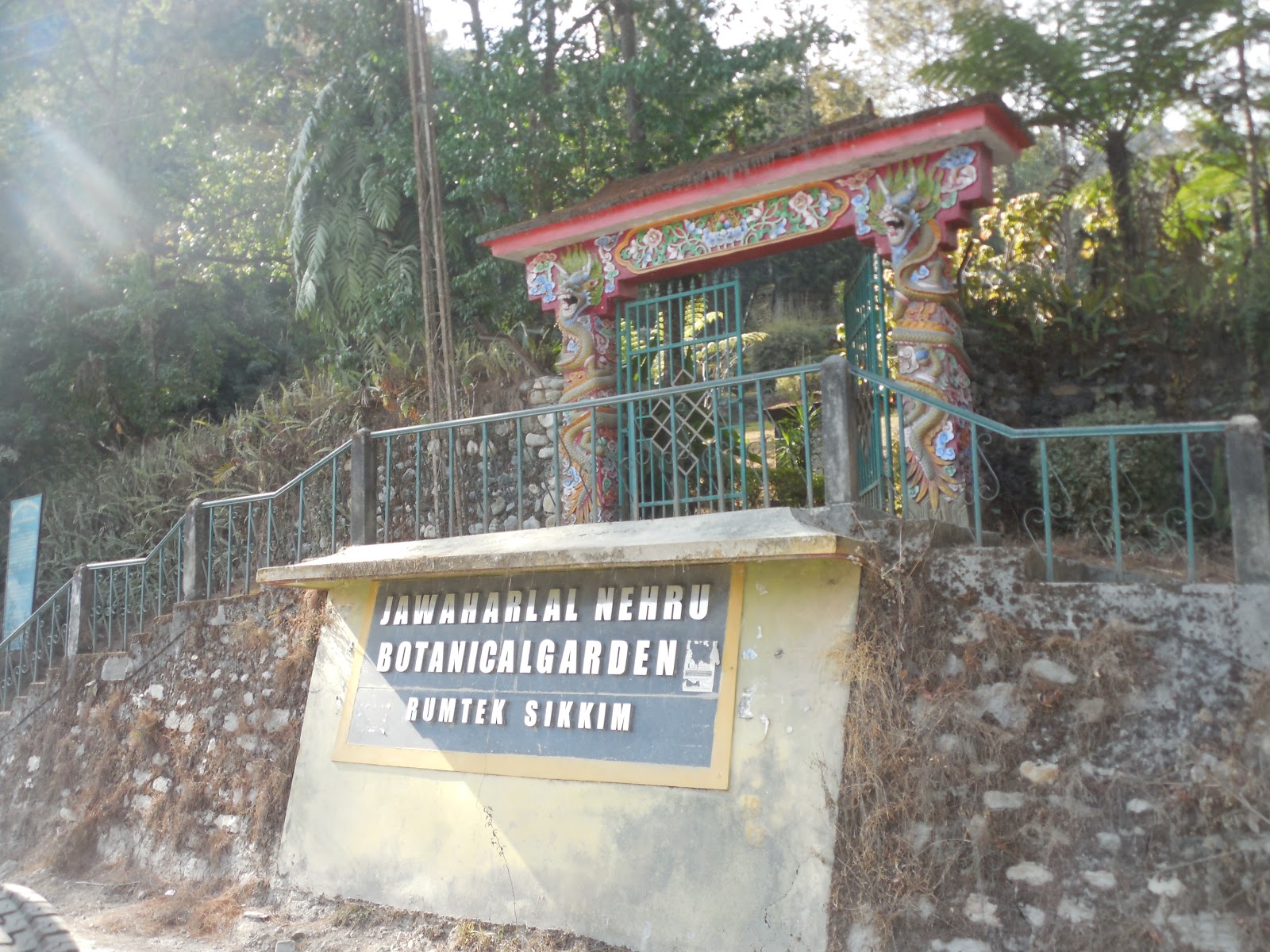 Jawaharlal Nehru Botanical Garden photo 2