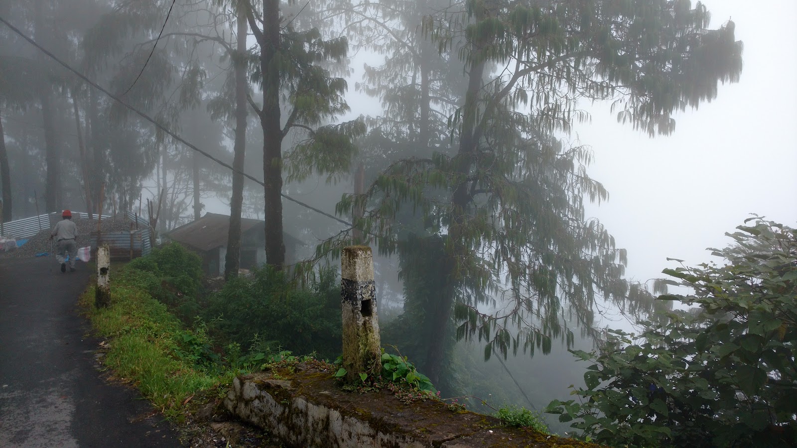 Kyongnosla Alpine Sanctuary photo 3