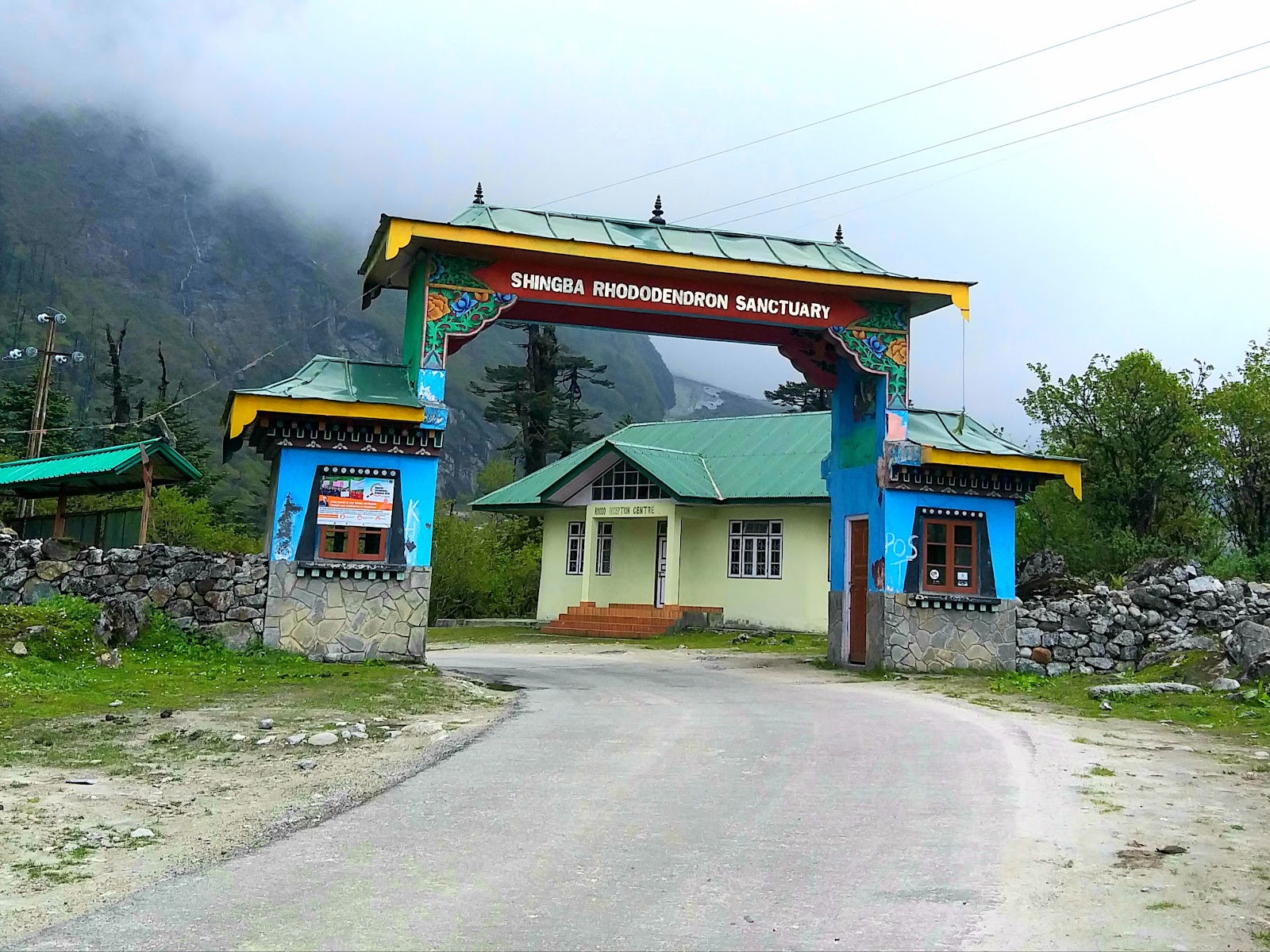 Shingba Rhododendron Sanctuary