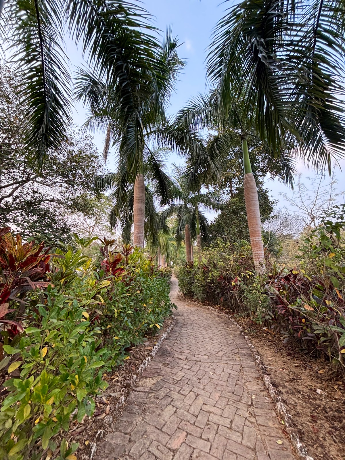 BARAMURA ECO PARK photo 2