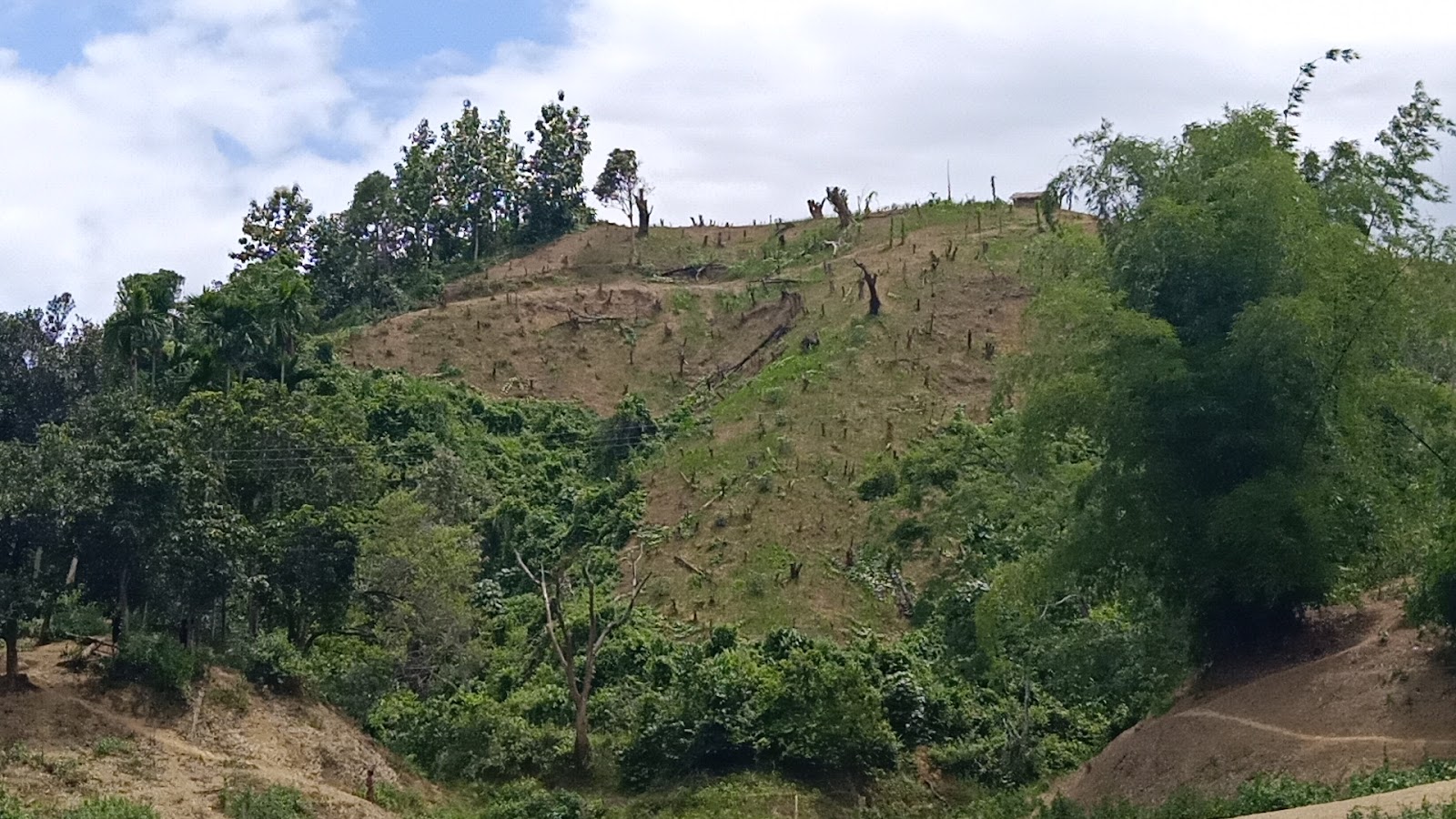 Gumti Wildlife Sanctuary photo 3