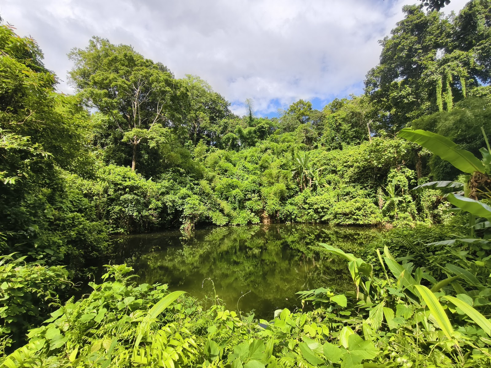 Hathai Kotor photo 3