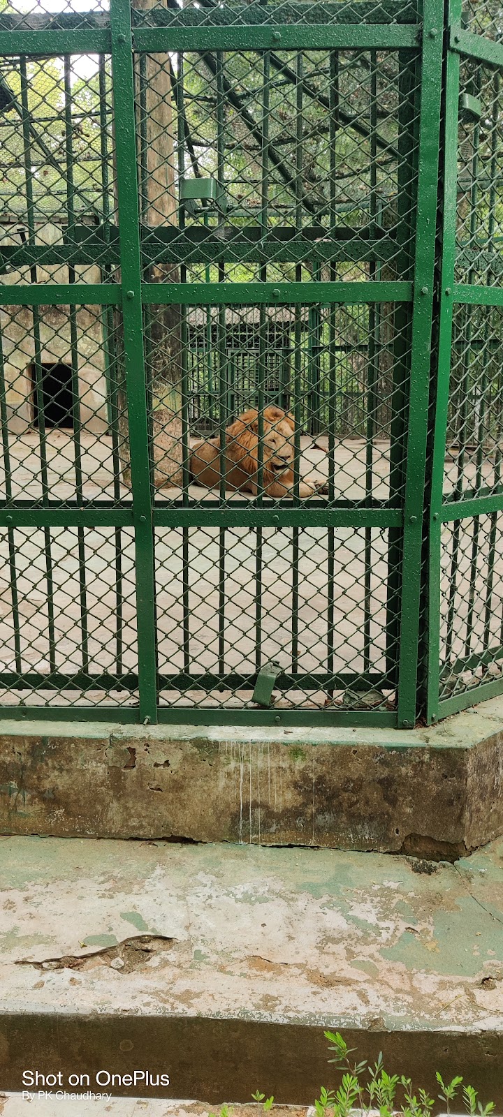 Sepahijala Zoological Park photo 3