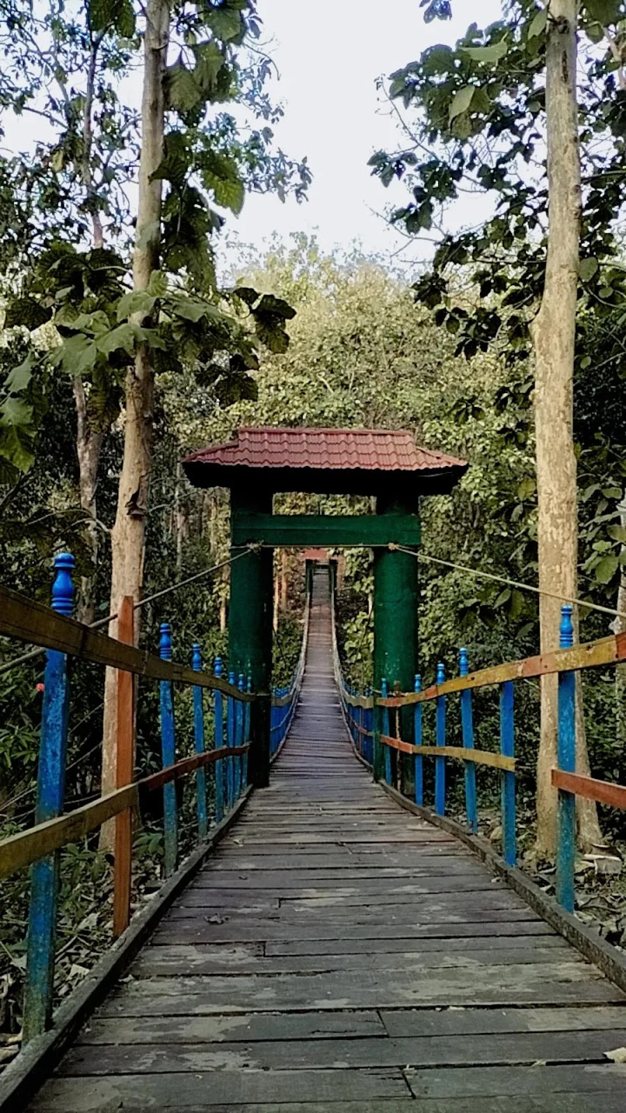 Tepania Eco Park photo 2